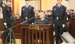 张扣扣最新爆料,揭秘案件背后惊人真相